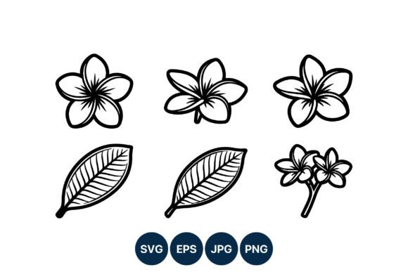 Download Plumeria Flower Line Art Vector Set - Line art Collection