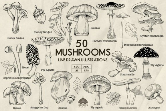 Download Mushrooms Line Art Svg Png Eps - Line art Collection