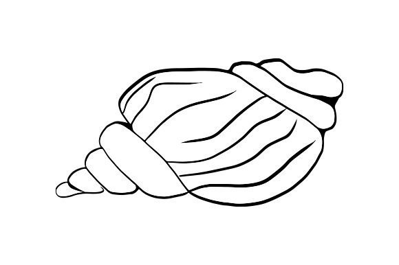 Download Sea Shell Line Art - Line art Collection