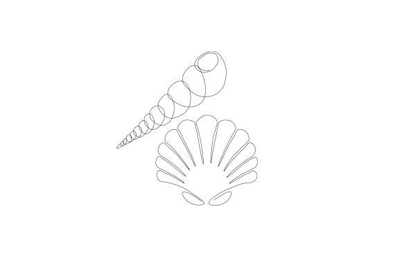 Download Sea Shell Line Art - Line art Collection