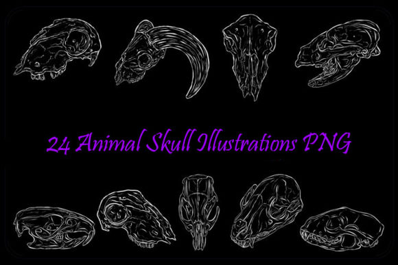 Download White Line Art Animal Skull Halloween - Line art Collection