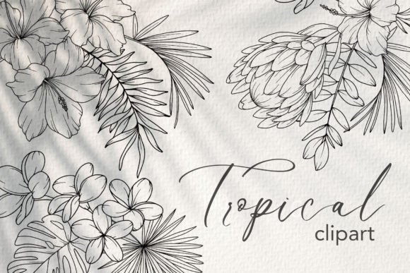 Download Tropical Flower LINE ART. Tropical Plant - Line art Collection