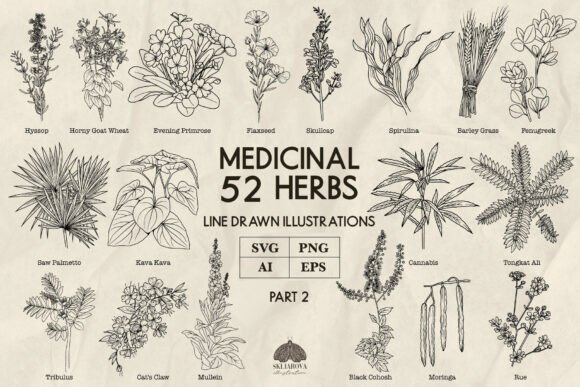 Download Medicinal Herbs Part 2 Line Art Svg Png - Line art Collection
