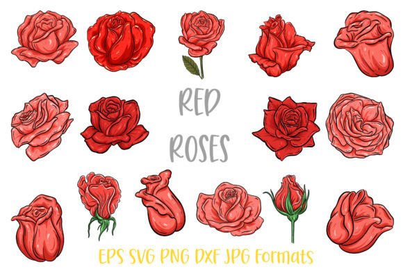 Download Red  Rose Flower Line Art Illustrations - Line art Collection