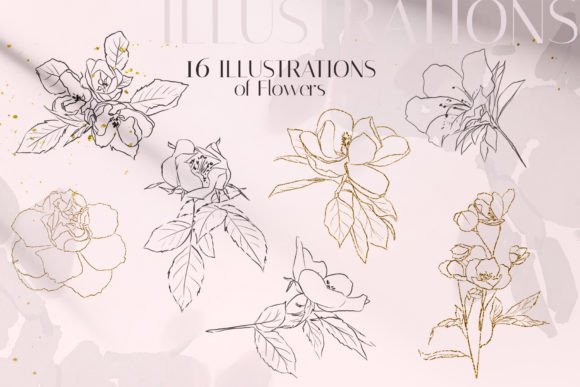 Download Golden Line Art Flowers - Line art Collection