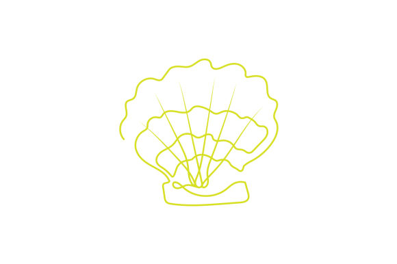 Download Sea Shell Line Art - Line art Collection