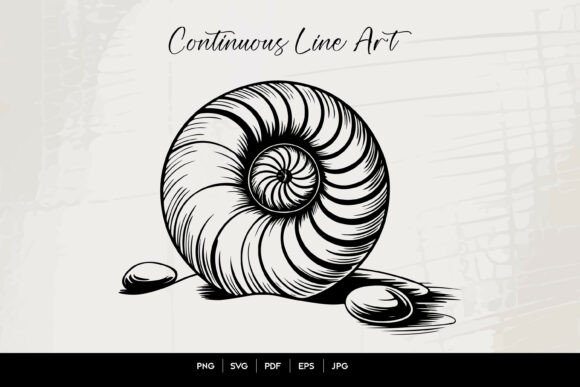 Download Nautilus Shell Line Art Illustration - Line art Collection