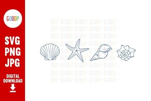 Download Coastal Seashell Line Art PNG - Line art Collection