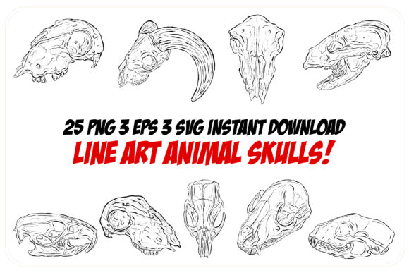 Download Line Art Animal Ram Sheep Skulls Horns - Line art Collection