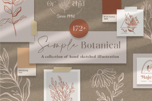 Download Simple Botanical Line Art Flowers - Line art Collection
