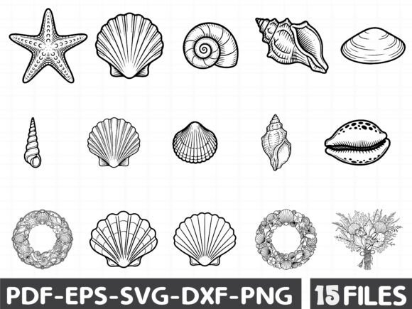 Download Coastal Seashell Svg Line Art - Line art Collection