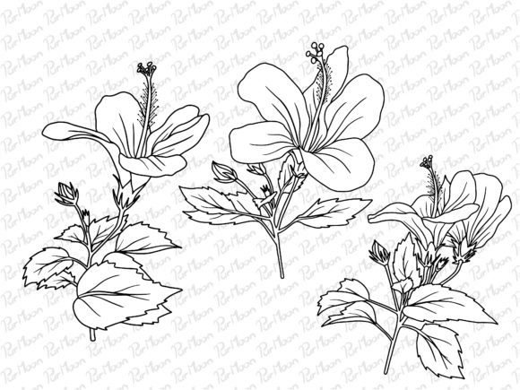 Download Line Art Flowers Arrangements - Line art Collection